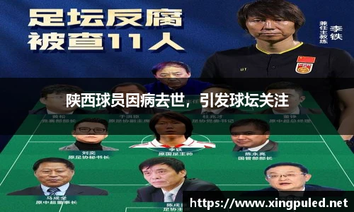 金年会平台