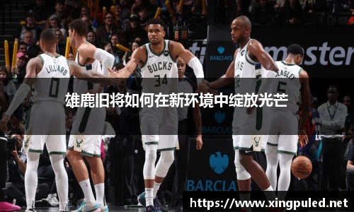 金年会