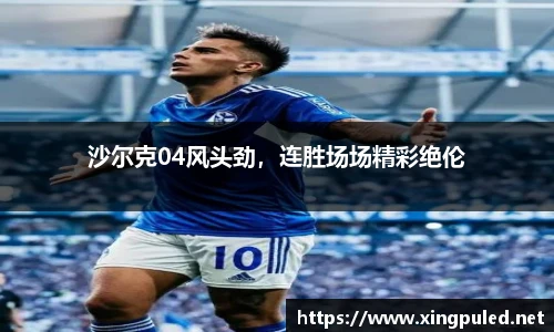 沙尔克04风头劲，连胜场场精彩绝伦